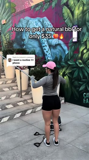 Replying to @Juleysis I will make more videos babe! Soon! I will post the full routine! 🔥 #nicedaystepper #stepper #ministepper #stepperworkout #ministepperworkout #glutesworkout #athomeworkout #homeworkout #TikTokShop