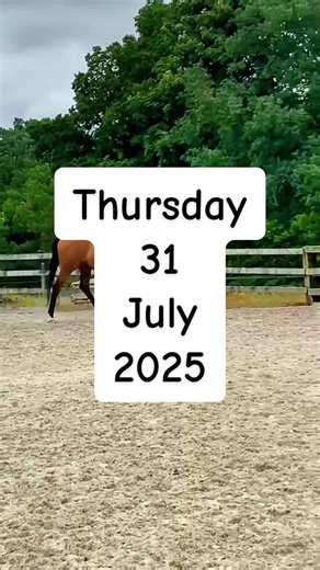 #equestrian #dressage #horsesontiktok #paradressage