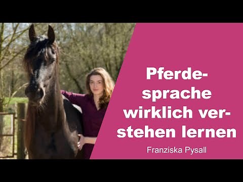 Motiva Training - Pferdesprache wirklich verstehen lernen - Franziska Pysall - 1