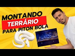 Setting up my ball python's terrarium | Complete step-by-step setup 🐍🔥