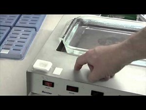 Preparing a Tissue Microarray Block for Cutting Vol. 3