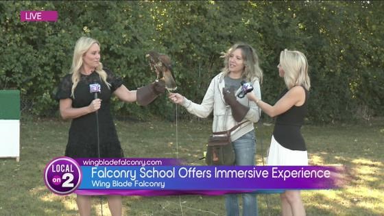 Wing Blade Falconry: Hawks, Falcons and Owls Up Close!