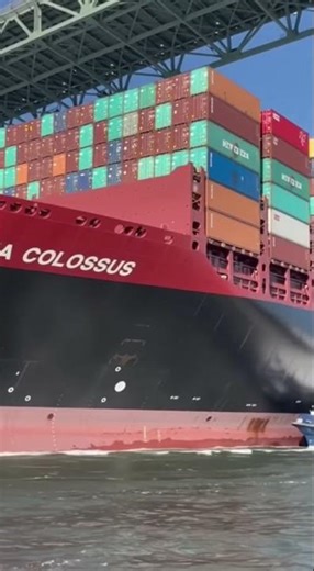 The Sea Colossus: A Giant Beneath the Steel