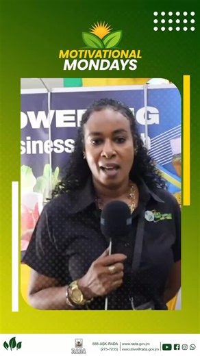 @radajm on Instagram: "From customer service to "social media girl" to plant entrepreneur! Meet @elsa_plant_lady the owner of Elsa's Plant Supplies and More in Trelawny. ​Elsa supplies and ships ornamental plants across Jamaica and is now expanding into food production. Learn more @elsa_plant_lady"