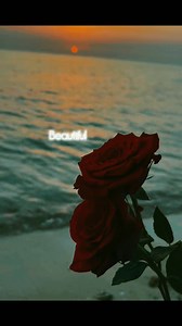 Old is gold❤ | Dipa Nandi