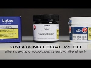 Unboxing legal weed: Alien dawg, Dubon // Chocolope, Aurora // Great white shark, San Rafael '71