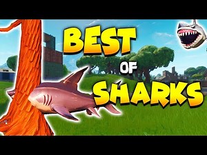 CRAZIEST SHARK 🦈 MOMENTS! (Fortnite Sharks Best Moments)