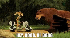 - Hey, Boog. - Hi, Boog.