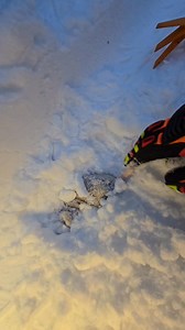 X-Finds 🐁 | X-Findings • Metal Detector Finds