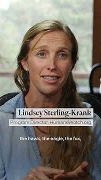 Reintroducing prairie dogs builds up the ecosystem | IMAGINE5