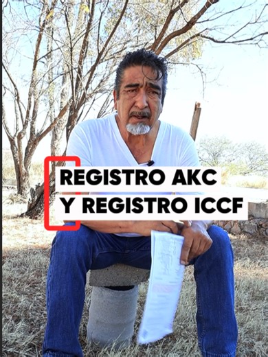 Historia y Actualidad de los Registros AKC & ICCF