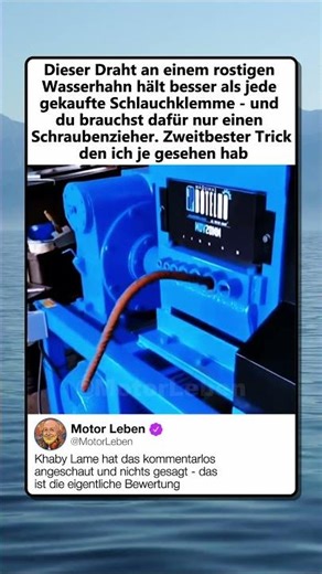 ROSTIGER HAHN BESIEGT MODERNE TECHNIK