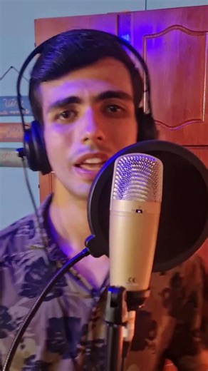 Lyrike - SNAP (Rosa Linn) - Cover #cover #popmusic #snap