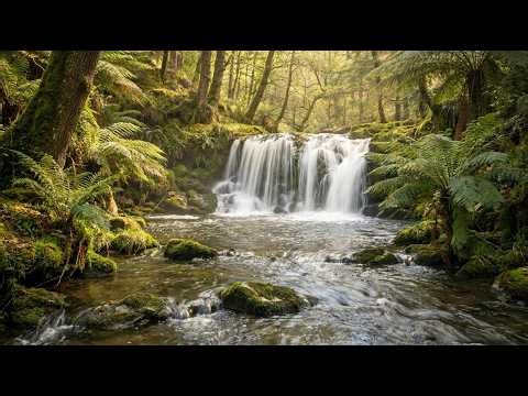 3 HOURS OF Peaceful Forest Waterfall & Gentle Bird Chirping — Deep Relaxation Nature Ambience