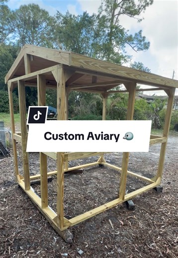 Custom animal home builders. Bird aviary build. Painted with 19 gauge wire. Reptile, chicken #CoopsByJoe #wildlife #pets #diy #fyp