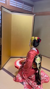 A first year maiko appreciating the autumn foliage dancing to "Momiji no Hashi" | Real Geisha Real Women