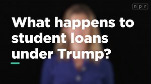 778K views · 3.3K reactions | There have been a lot of rumors about new rules for student loans under President Trump and Education Secretary Betsy DeVos. Watch this video to get the facts. | NPR | Facebook