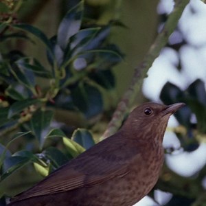 9.8K views · 1K reactions | "Let's see...I'll just grab a quick...