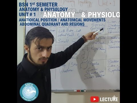 Anatomy physiology Unit # 1 BSN first semester / Anatomical position / Anatomical movements