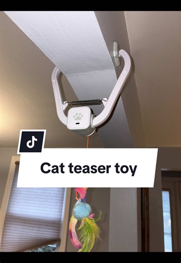 Tuna Cats' Favorite Teaser Toy: A Must-Have!