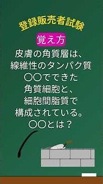 【角質層の覚え方🛡️】第２章#登録販売者試験 #登録販売者 #登録販売者試験勉強 #登録販売者勉強中 #角質層 #ケラチン #セラミド #独学 #とーはんカレッジ #medutech #第２章