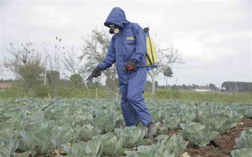 Why local farmers are shunning biopesticides