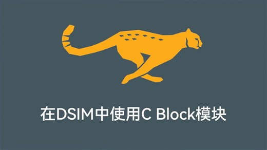 在DSIM中使用C Block模块