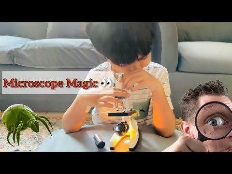 5-Year-Old Looks Into a Microscope for the First Time 😲 | Kids Science Fun!