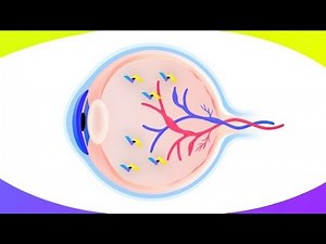 Discover how VABYSMO is different