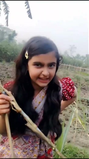 আমরা নরসিংদীর মানু 😂💫 Tik Tok Funny Comments Reading || Commentshub #shorts