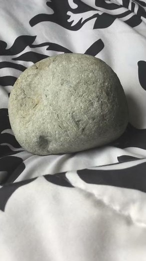 Dragon egg pet spell really works!!