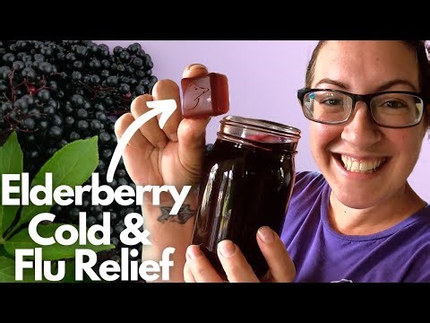 Making & Canning Elderberry Syrup ((Bonus Gummy Recipe!))