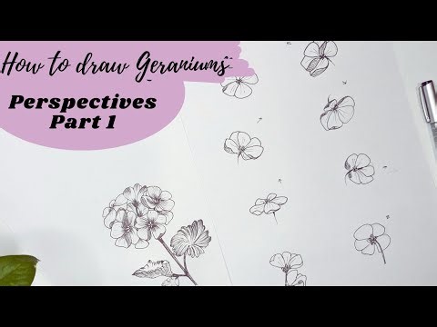 How to draw 7 different Geranium flower perspectives. Flower drawing from different angles.