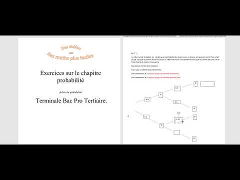 terminale bac pro- arbres de probabilités-exercices