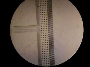 Zoom on the comb drive of optical MEMS based accelerometer (developed by OSCP)