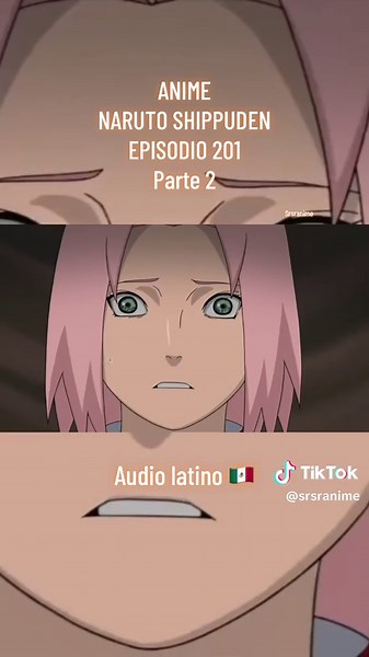 Naruto Shippuden Episodio 201: La Decisión Dolorosa