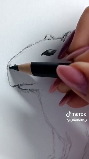 Könnyű capibara rajzok lépésről lépésre