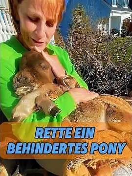Eine Frau adoptierte ein Pony, das nie erwachsen wurde #tier #tiere