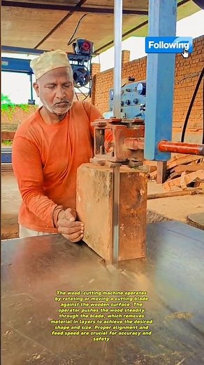 Wood Cutting Machine in Action | Educational Video About Wood Processing Techniques🇺🇲