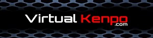 Virtual Kenpo