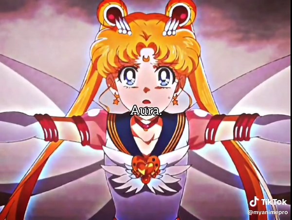 Sailor Moon vs Sailor Guardians: Epic Anime Battle