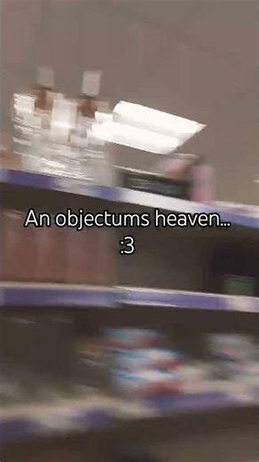 #objectum