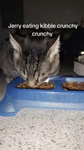 who wants Jerry asmr