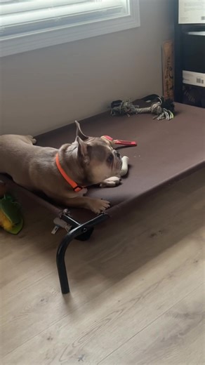 Huey rates the new SpongeBob movie on Netflix a 0/10 gold doubloons 😕