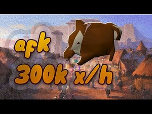 Guía de chinning en mm1 300K!! AFK | Old School runescape Español