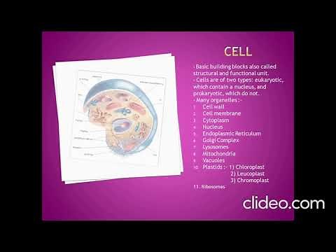 PPT on " Cell and Cell Organelles " | BIOLOGY | CLASS 9 PROJECT