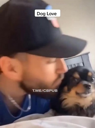 Heartwarming Dog Kisses That Show Love