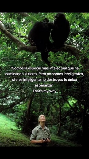 Mi inspiración más grande: Jane Goodall y el cuidado del ecosistema