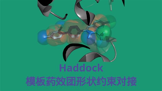 Haddock2.4 基于模板药效团形状的约束对接实操