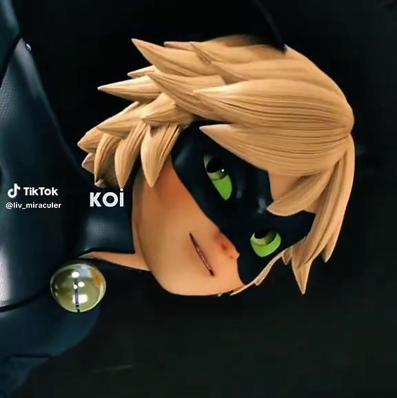 Chat Noir se declara en Miraculous Ladybug
